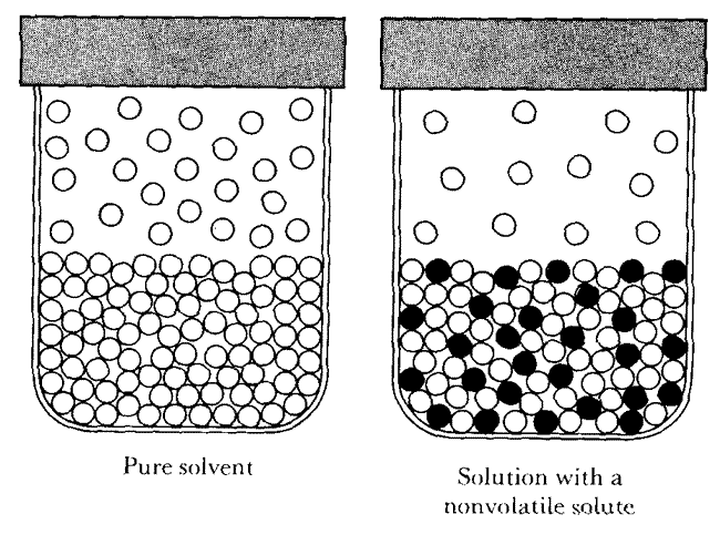 Solution Web